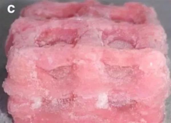 3D打印首次造出类脑组织:低温技术克服软组织打印难