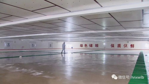 湖南推广低温绿色储粮技术