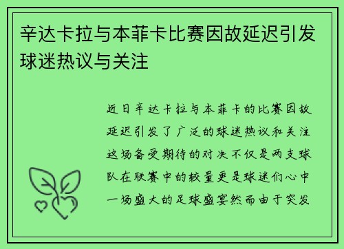 辛达卡拉与本菲卡比赛因故延迟引发球迷热议与关注