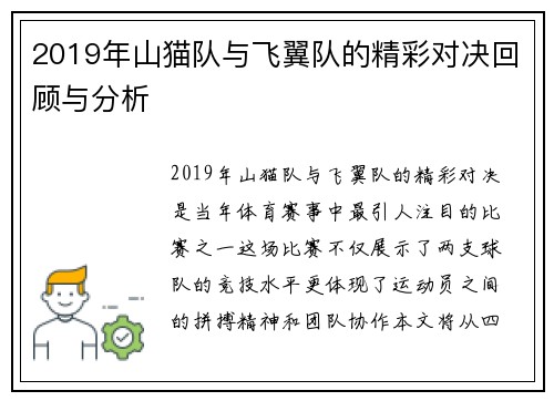2019年山猫队与飞翼队的精彩对决回顾与分析