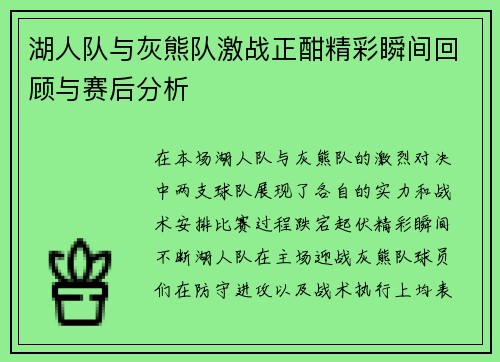 湖人队与灰熊队激战正酣精彩瞬间回顾与赛后分析