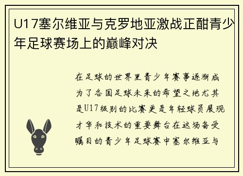 U17塞尔维亚与克罗地亚激战正酣青少年足球赛场上的巅峰对决
