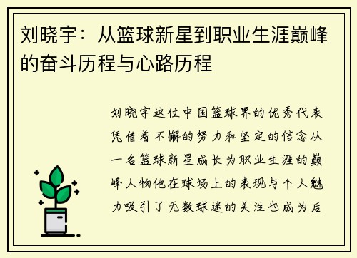 刘晓宇：从篮球新星到职业生涯巅峰的奋斗历程与心路历程