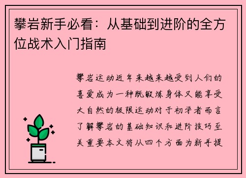 攀岩新手必看：从基础到进阶的全方位战术入门指南