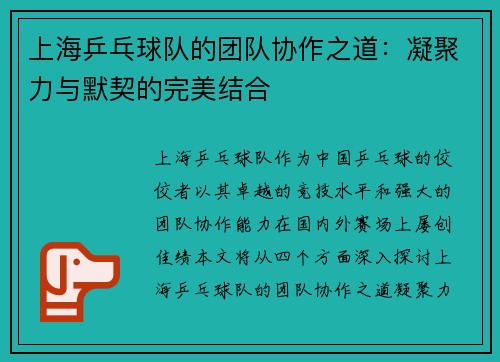 上海乒乓球队的团队协作之道：凝聚力与默契的完美结合